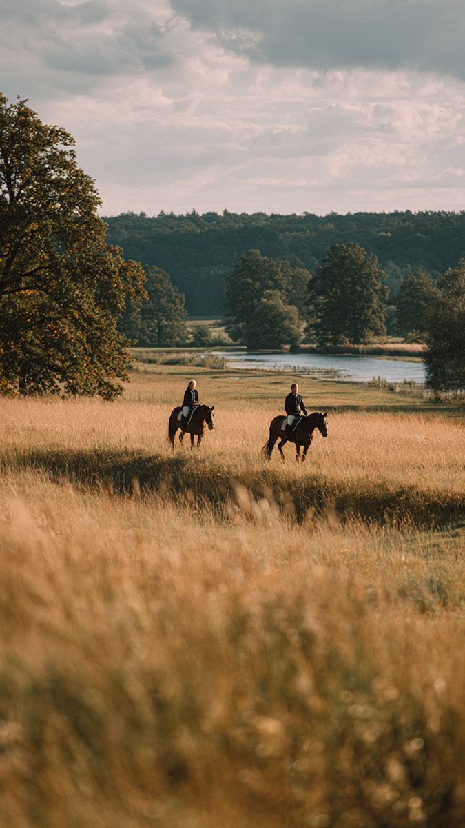 Reiten