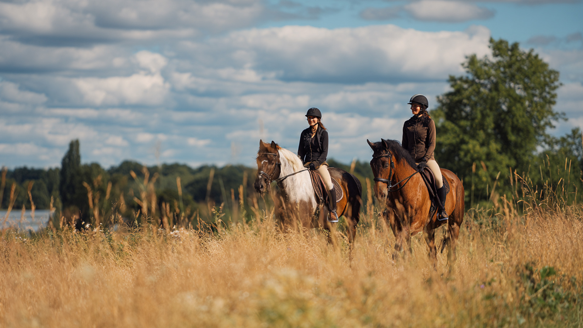 Reiten