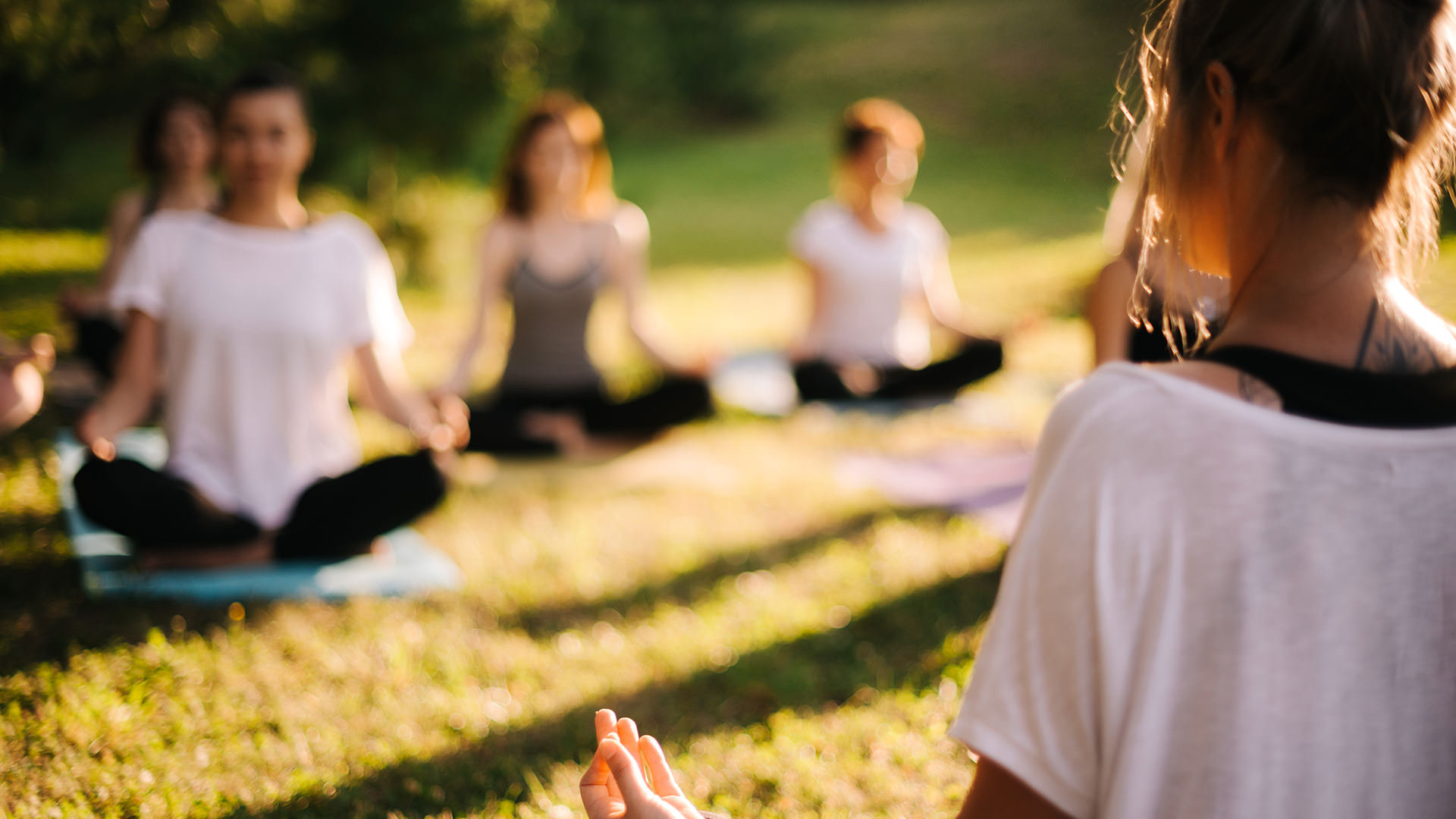Meditate